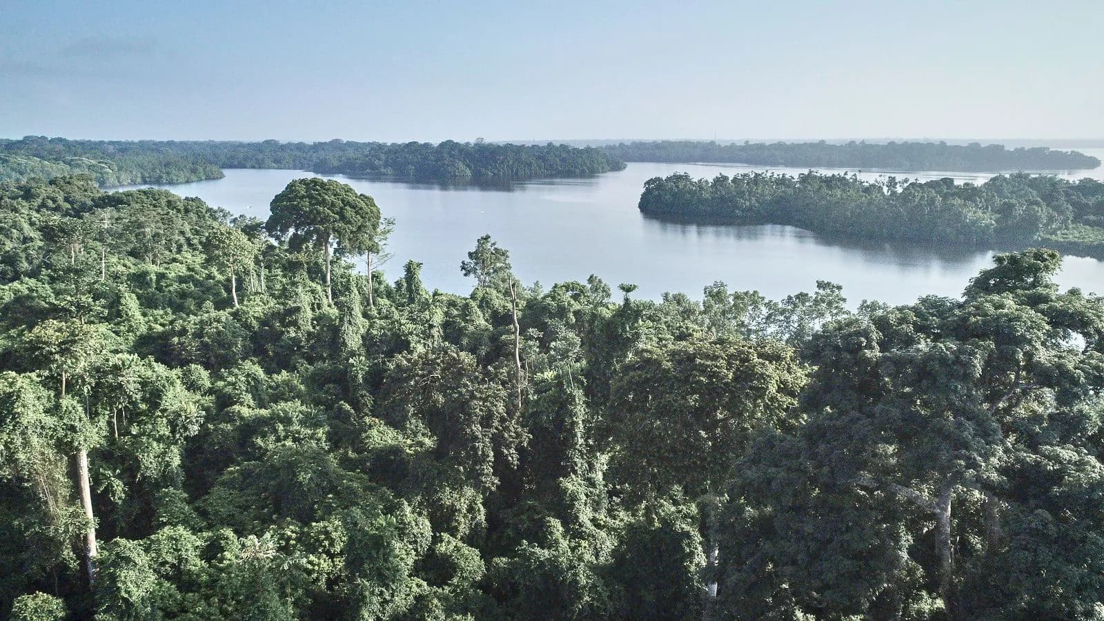 Hero image for Gabon