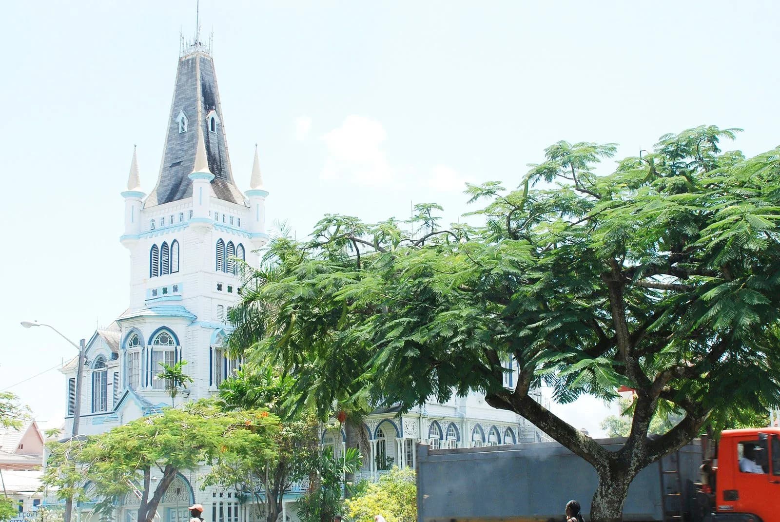 Hero image for Guyana