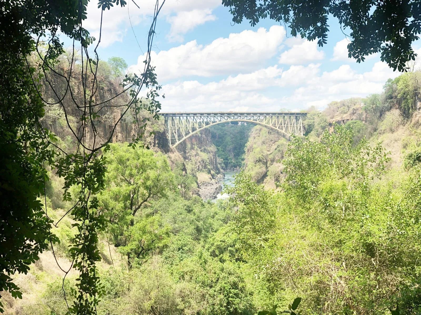 Hero image for Zambia